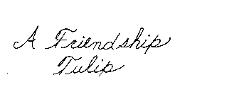 A FRIENDSHIP TULIP