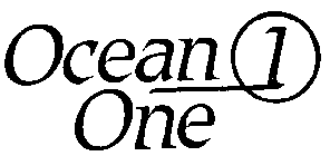 OCEAN 1 ONE