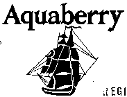 AQUABERRY