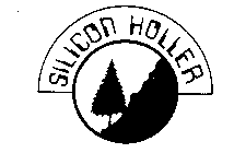 SILICON HOLLER