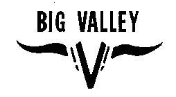 BIG VALLEY V