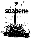 SOAPENE