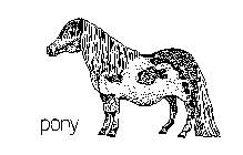 PONY