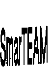 SMARTEAM