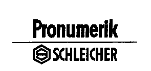PRONUMERIK S SCHLEICHER