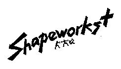 SHAPEWORKS +