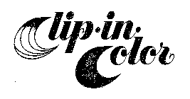 CLIP-IN-COLOR