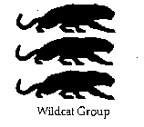 WILDCAT GROUP