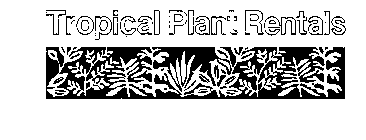 TROPICAL PLANT RENTALS