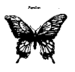 PAPILLON