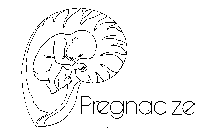 PREGNACIZE