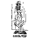 COOL-TOP