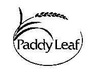 PADDY LEAF