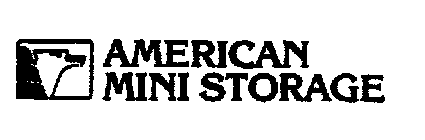 AMERICAN MINI STORAGE