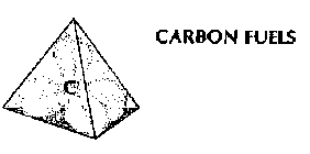 CARBON FUELS C