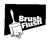 BRUSH FLUSH