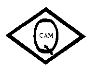 Q CAM