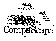 COMPUSCAPE