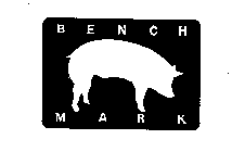 BENCH MARK