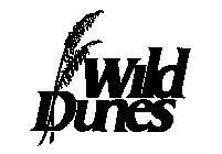 WILD DUNES