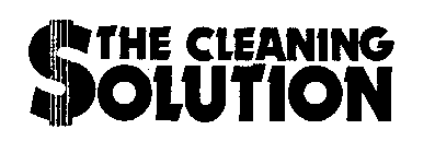 THE CLEANING $OLUTION