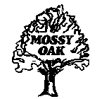 MOSSY OAK
