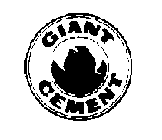 GIANT CEMENT