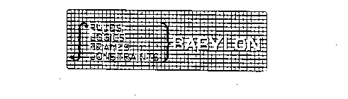 BABYLON RULES LOGICS FRAMES CONSTRAINTS