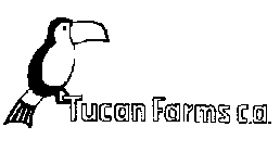 TUCAN FARMS C.A.