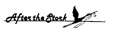 AFTER THE STORK