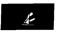 SAILS LTD.