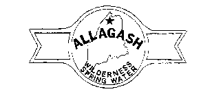 ALLAGASH WILDERNESS SPRING WATER