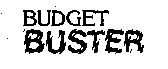 BUDGET BUSTER