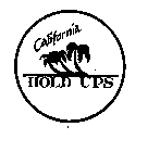 CALIFORNIA HOLD UPS