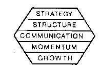 STRATEGY STRUCTURE COMMUNICATION MOMENTUM GROWTH