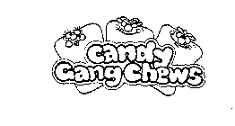 CANDY GANG CHEWS