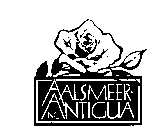AALSMEER-ANTIGUA, INC.