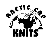 ARCTIC CAP KNITS SWANY
