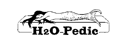 H20-PEDIC