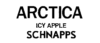 ARCTICA ICY APPLE SCHNAPPS