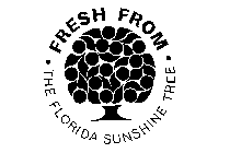 FRESH FROM THE FLORIDA SUNSHINE TREE