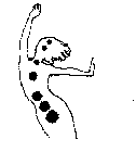 Image Trademark