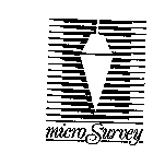 MICRO SURVEY