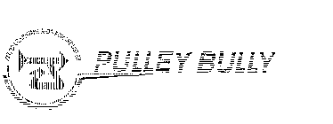 PULLEY BULLY MTS LEARNING AIDS FOR INDUSTRY