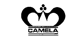 CAMELA