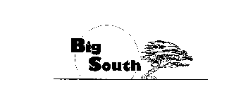 BIG SOUTH