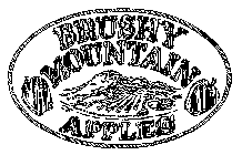 BRUSHY MOUNTAIN APPLES