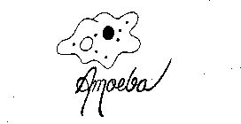 AMOEBA