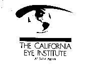 THE CALIFORNIA EYE INSTITUTE AT SAINT AGNES