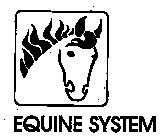 EQUINE SYSTEM